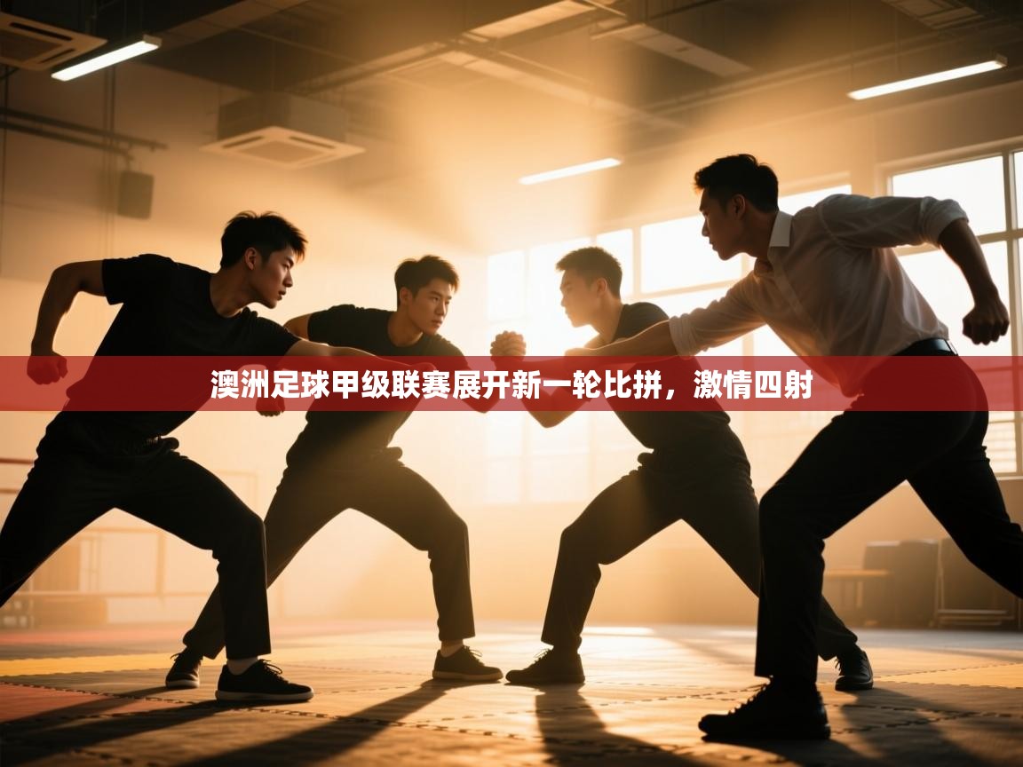 问鼎娱乐在线-澳洲足球甲级联赛展开新一轮比拼,激情四射 第3张