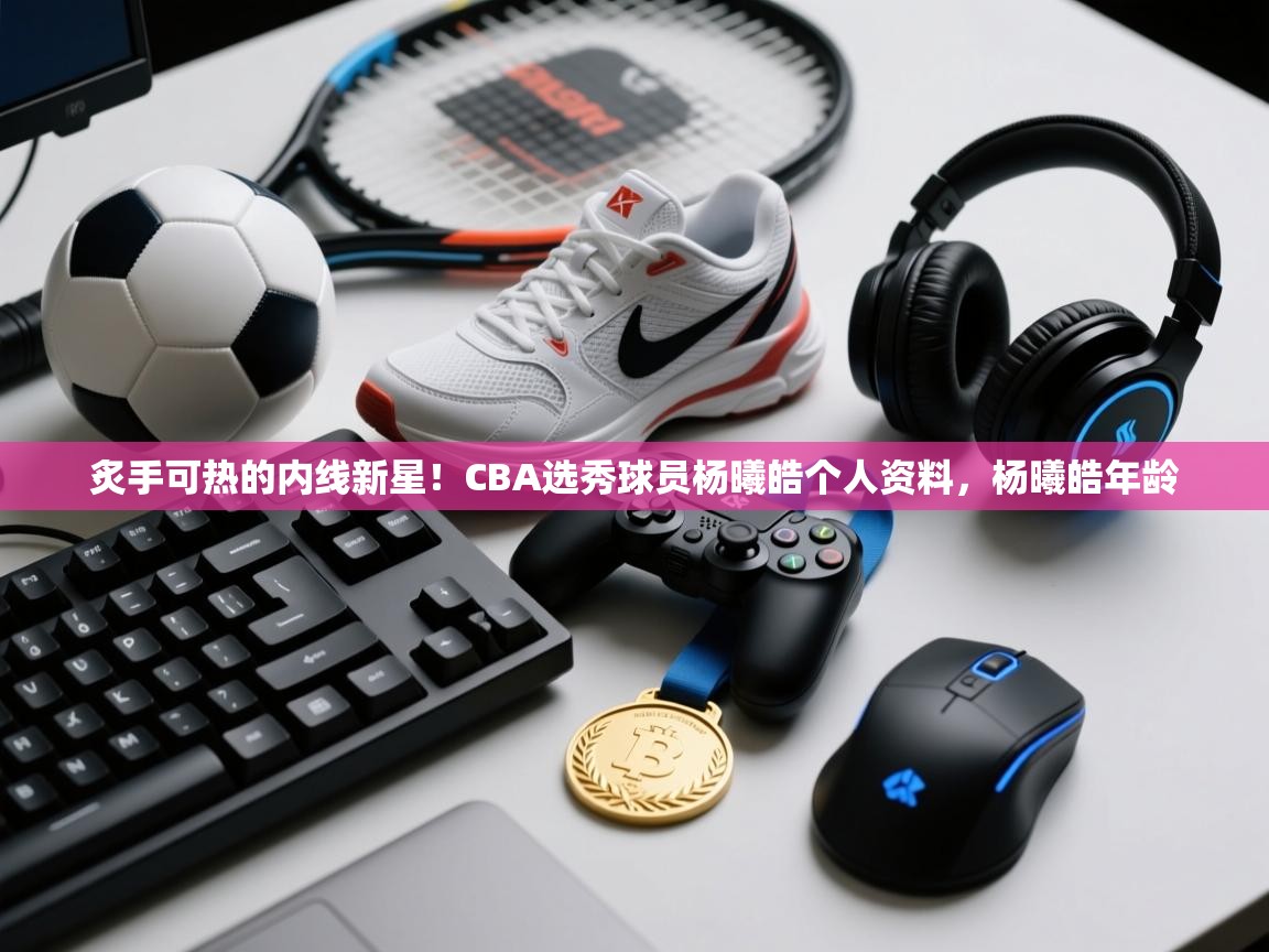 问鼎娱乐官方网址-炙手可热的内线新星!CBA选秀球员杨曦皓个人资料,杨曦皓年龄 第4张