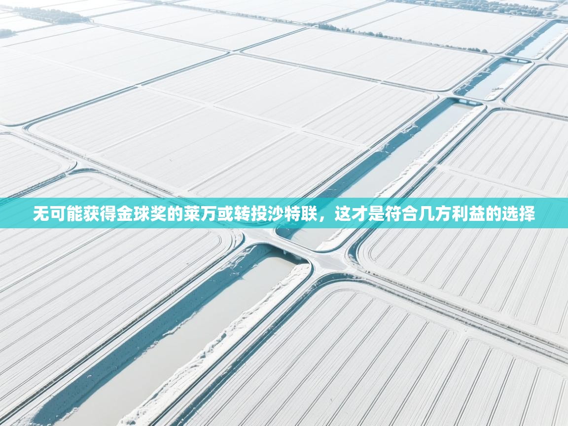 问鼎娱乐网址-无可能获得金球奖的莱万或转投沙特联，这才是符合几方利益的选择  第3张