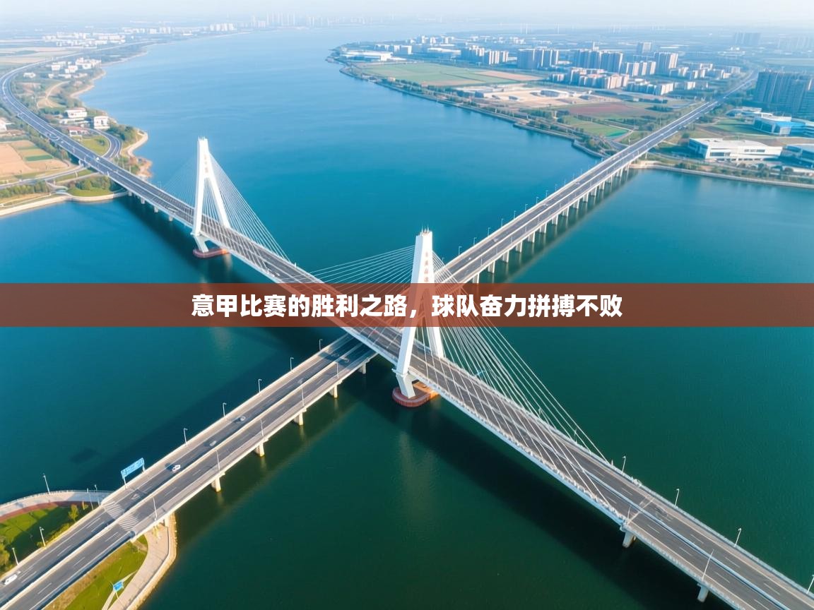 问鼎娱乐下载-意甲比赛的胜利之路，球队奋力拼搏不败  第1张