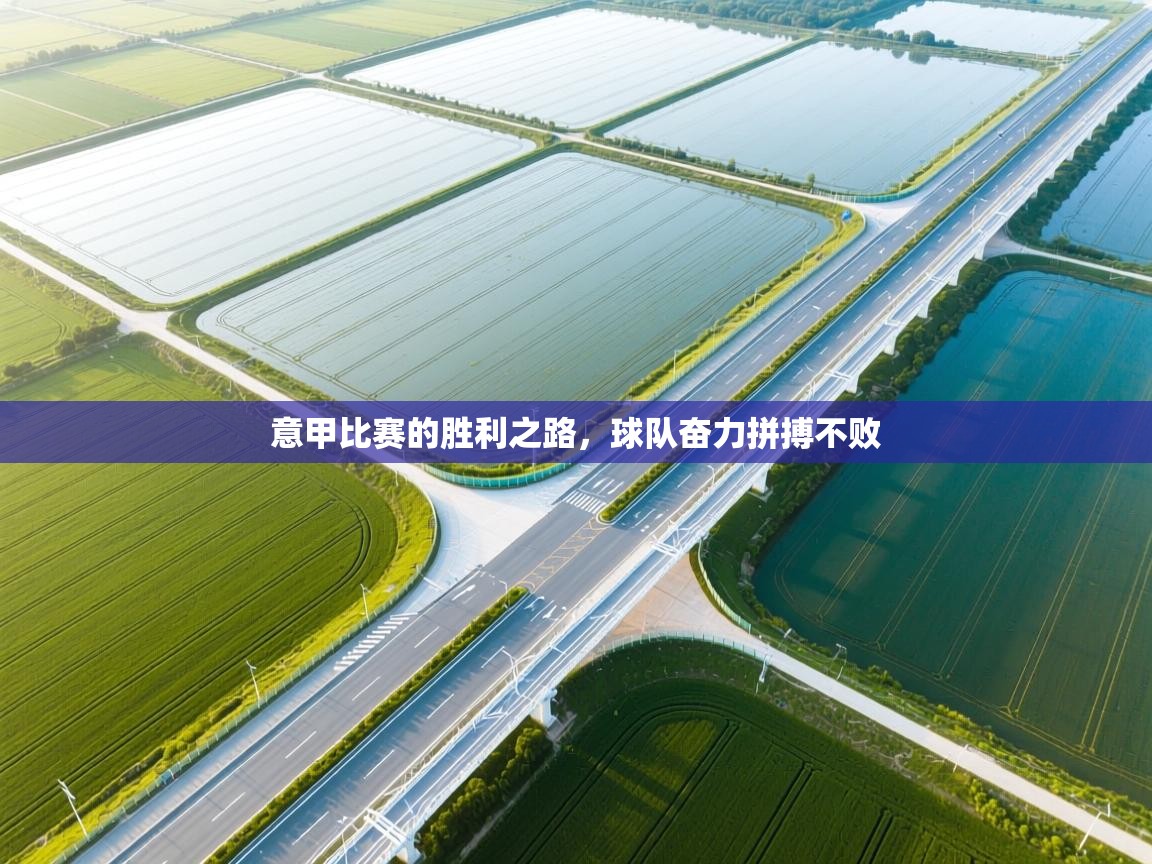 问鼎娱乐下载-意甲比赛的胜利之路，球队奋力拼搏不败  第4张