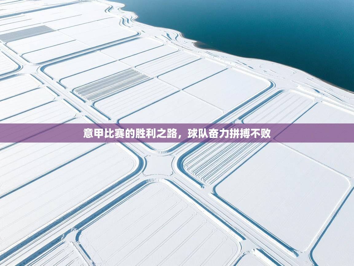 问鼎娱乐下载-意甲比赛的胜利之路，球队奋力拼搏不败  第3张