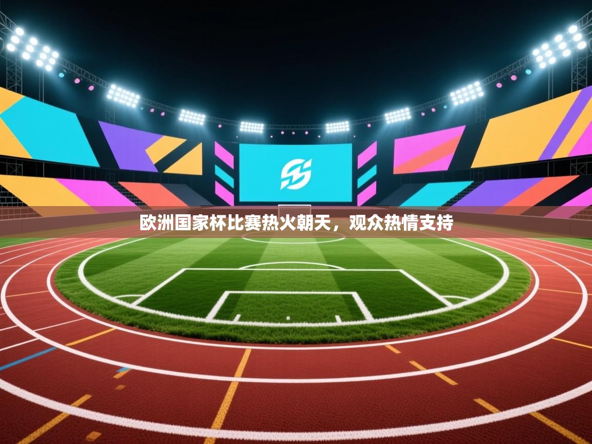 -欧洲国家杯比赛热火朝天，观众热情支持  第3张