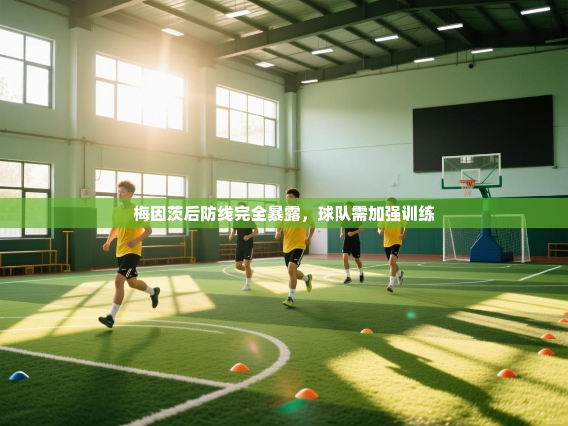 问鼎体育-梅因茨后防线完全暴露，球队需加强训练  第1张