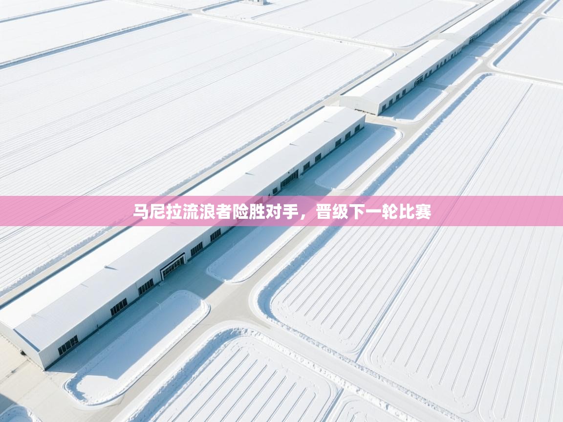 问鼎娱乐官方网址-马尼拉流浪者险胜对手，晋级下一轮比赛