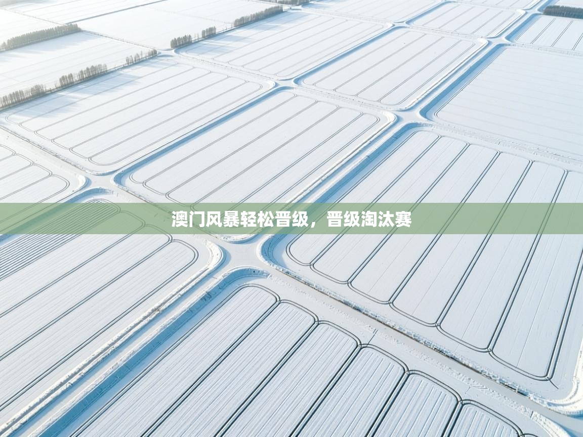 问鼎娱乐平台-澳门风暴轻松晋级，晋级淘汰赛  第4张