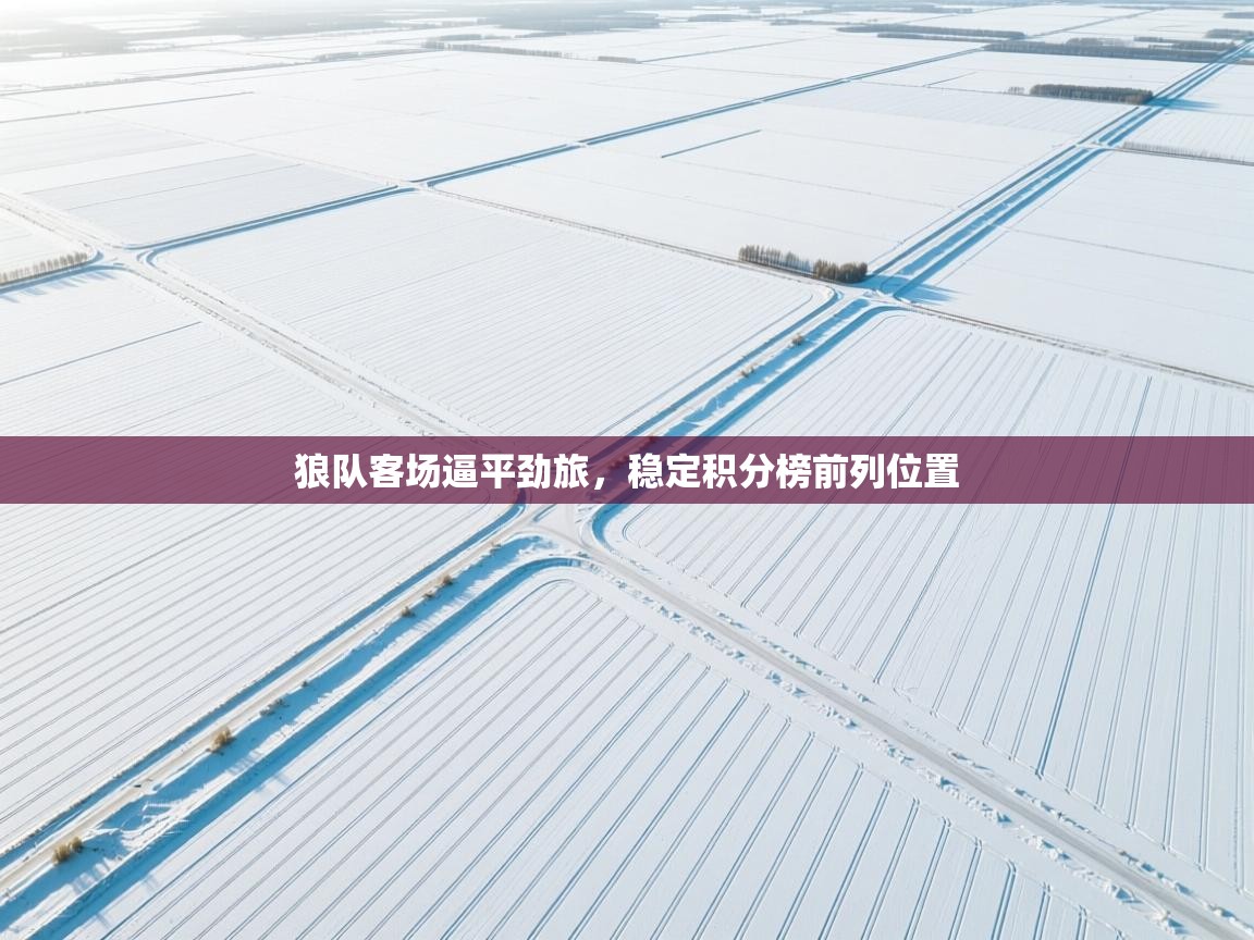 问鼎娱乐pg-狼队客场逼平劲旅,稳定积分榜前列位置 第3张