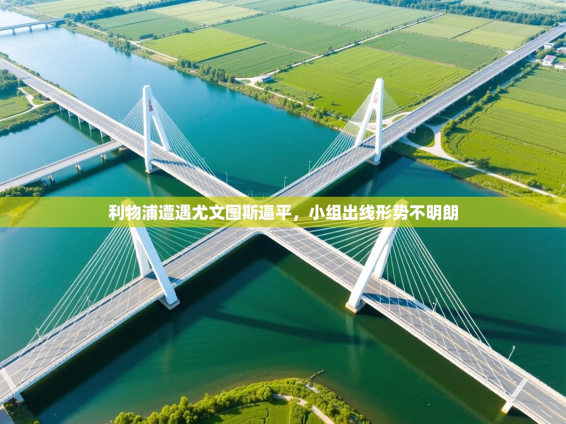 问鼎体育娱乐-利物浦遭遇尤文图斯逼平，小组出线形势不明朗  第2张