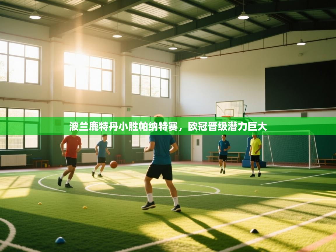 问鼎体育app官方网站入口-波兰鹿特丹小胜帕纳特赛，欧冠晋级潜力巨大